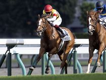 ����å��ǳ��������ɽ�����ޤ�