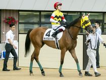 ����å��ǳ��������ɽ�����ޤ�