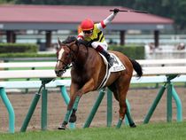 ����å��ǳ��������ɽ�����ޤ�