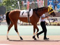 ����å��ǳ��������ɽ�����ޤ�