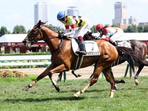 ����å��ǳ��������ɽ�����ޤ�