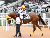 ����å��ǳ��������ɽ�����ޤ�