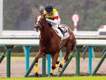 ����å��ǳ��������ɽ�����ޤ�