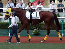 ����å��ǳ��������ɽ�����ޤ�