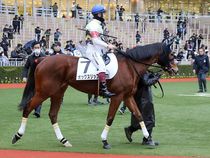 ����å��ǳ��������ɽ�����ޤ�