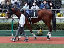 ����å��ǳ��������ɽ�����ޤ�