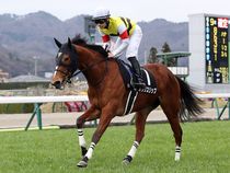 ����å��ǳ��������ɽ�����ޤ�