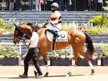 ����å��ǳ��������ɽ�����ޤ�