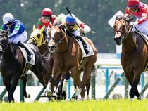 ����å��ǳ��������ɽ�����ޤ�