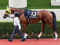 ����å��ǳ��������ɽ�����ޤ�