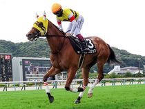 ����å��ǳ��������ɽ�����ޤ�