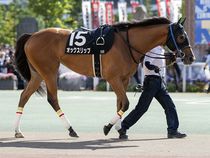 ����å��ǳ��������ɽ�����ޤ�