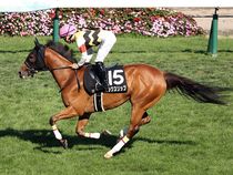 ����å��ǳ��������ɽ�����ޤ�