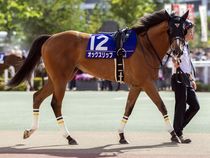 ����å��ǳ��������ɽ�����ޤ�