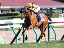 ����å��ǳ��������ɽ�����ޤ�