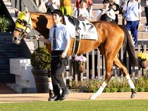 ����å��ǳ��������ɽ�����ޤ�