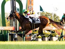 ����å��ǳ��������ɽ�����ޤ�