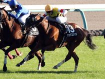 ����å��ǳ��������ɽ�����ޤ�