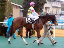 ����å��ǳ��������ɽ�����ޤ�