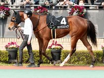 ����å��ǳ��������ɽ�����ޤ�