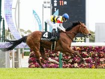 ����å��ǳ��������ɽ�����ޤ�