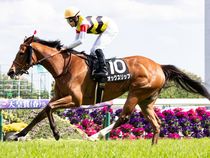 ����å��ǳ��������ɽ�����ޤ�