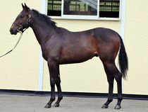 ����å��ǳ��������ɽ�����ޤ�