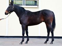 ����å��ǳ��������ɽ�����ޤ�