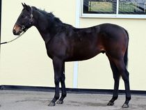 ����å��ǳ��������ɽ�����ޤ�