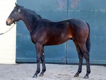 ����å��ǳ��������ɽ�����ޤ�