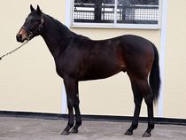 ����å��ǳ��������ɽ�����ޤ�