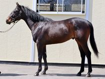 ����å��ǳ��������ɽ�����ޤ�