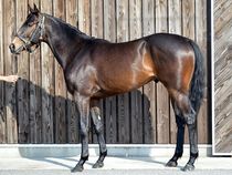 ����å��ǳ��������ɽ�����ޤ�