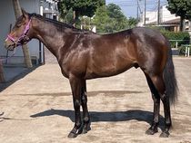 ����å��ǳ��������ɽ�����ޤ�