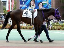 ����å��ǳ��������ɽ�����ޤ�