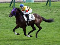 ����å��ǳ��������ɽ�����ޤ�