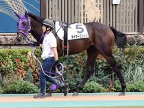 ����å��ǳ��������ɽ�����ޤ�