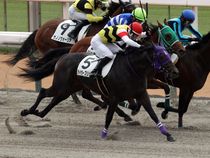 ����å��ǳ��������ɽ�����ޤ�