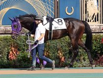 ����å��ǳ��������ɽ�����ޤ�