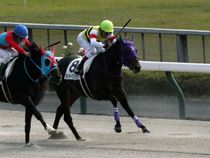 ����å��ǳ��������ɽ�����ޤ�