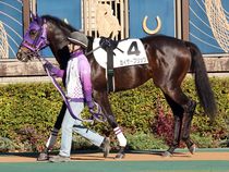 ����å��ǳ��������ɽ�����ޤ�