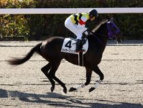 ����å��ǳ��������ɽ�����ޤ�