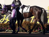 ����å��ǳ��������ɽ�����ޤ�