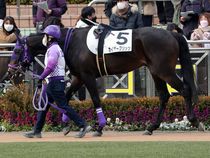 ����å��ǳ��������ɽ�����ޤ�