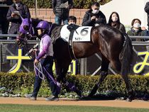 ����å��ǳ��������ɽ�����ޤ�