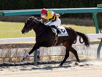 ����å��ǳ��������ɽ�����ޤ�