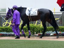 ����å��ǳ��������ɽ�����ޤ�