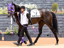 ����å��ǳ��������ɽ�����ޤ�