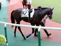 ����å��ǳ��������ɽ�����ޤ�