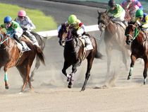 ����å��ǳ��������ɽ�����ޤ�